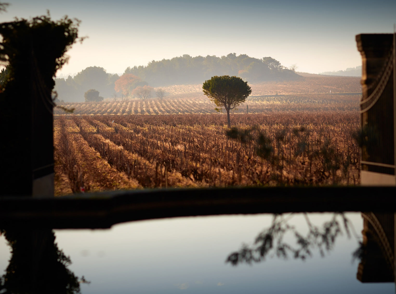 Beau Domaine